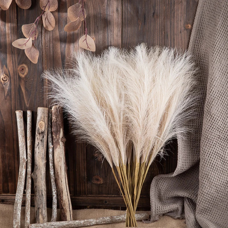 Fluffy Pampas Grass Stems