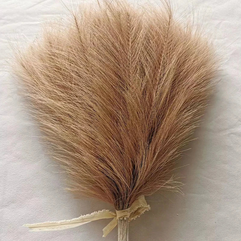 Fluffy Pampas Grass Stems