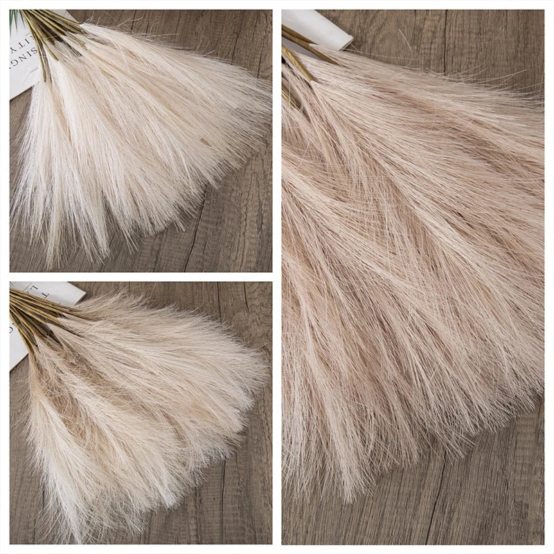 Fluffy Pampas Grass Stems