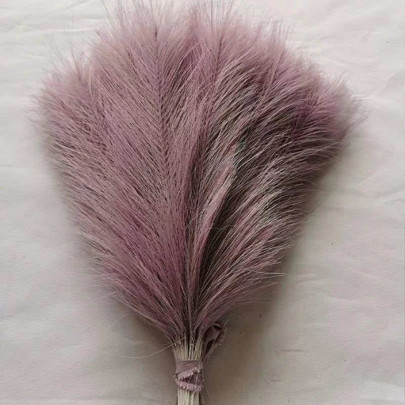 Fluffy Pampas Grass Stems