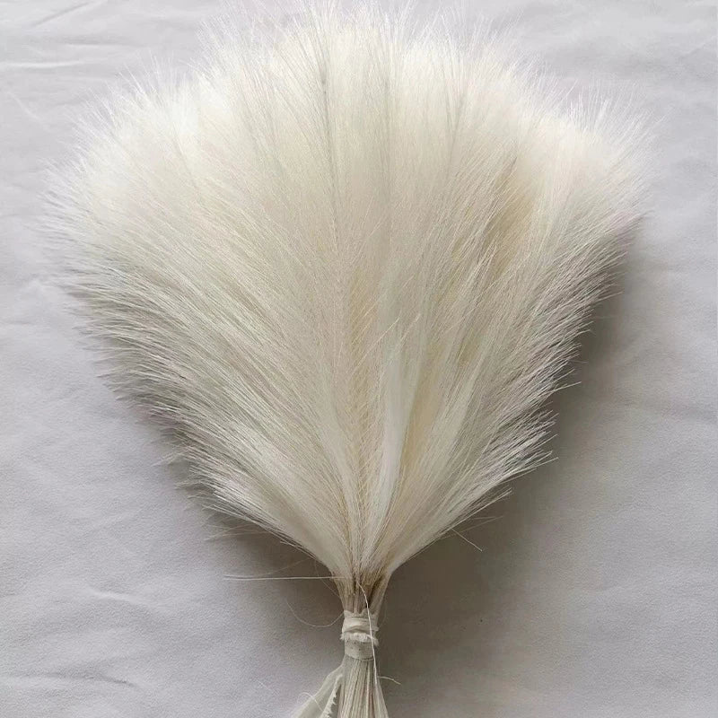 Fluffy Pampas Grass Stems