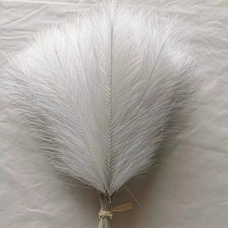 Fluffy Pampas Grass Stems