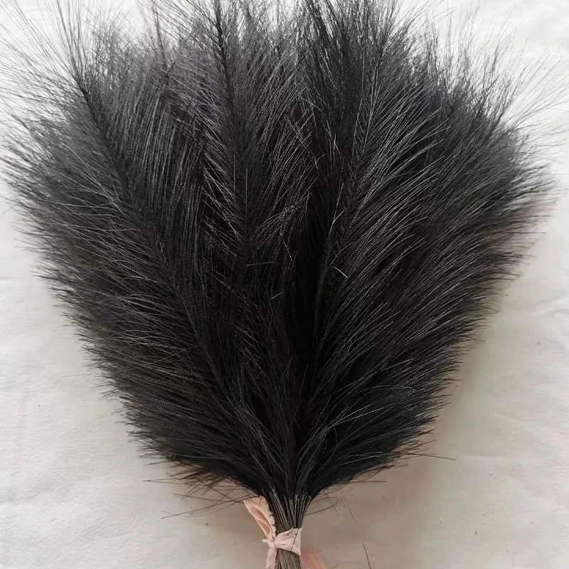 Fluffy Pampas Grass Stems
