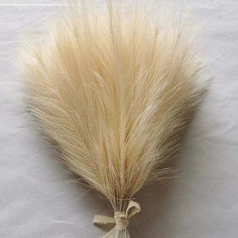 Fluffy Pampas Grass Stems