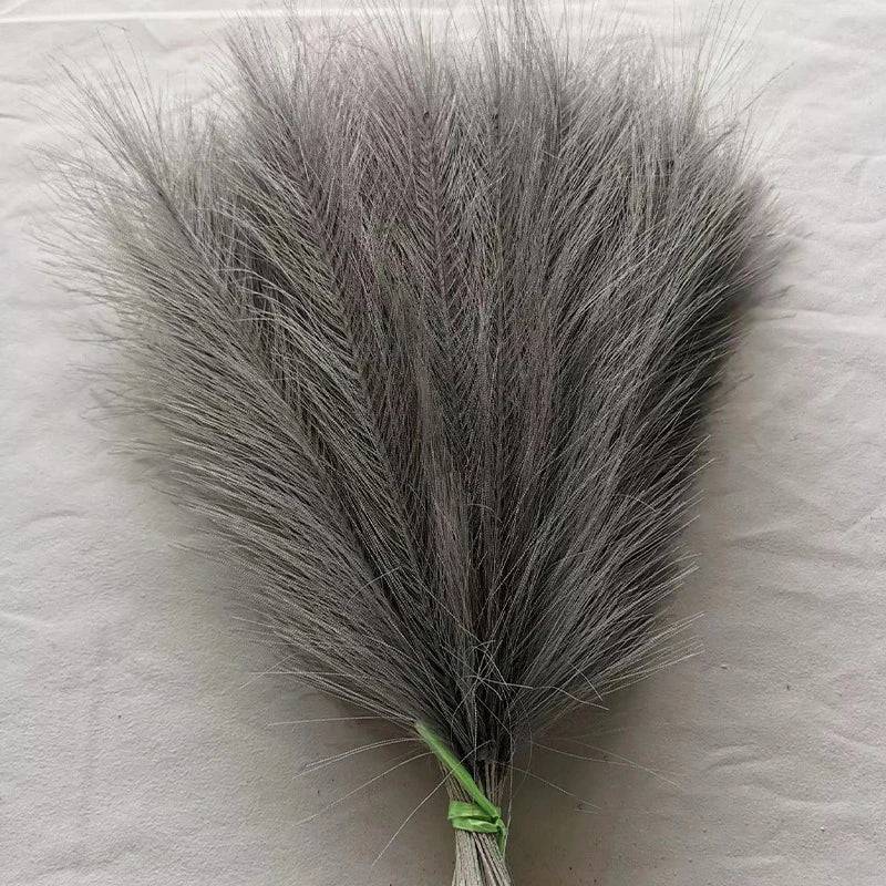Fluffy Pampas Grass Stems