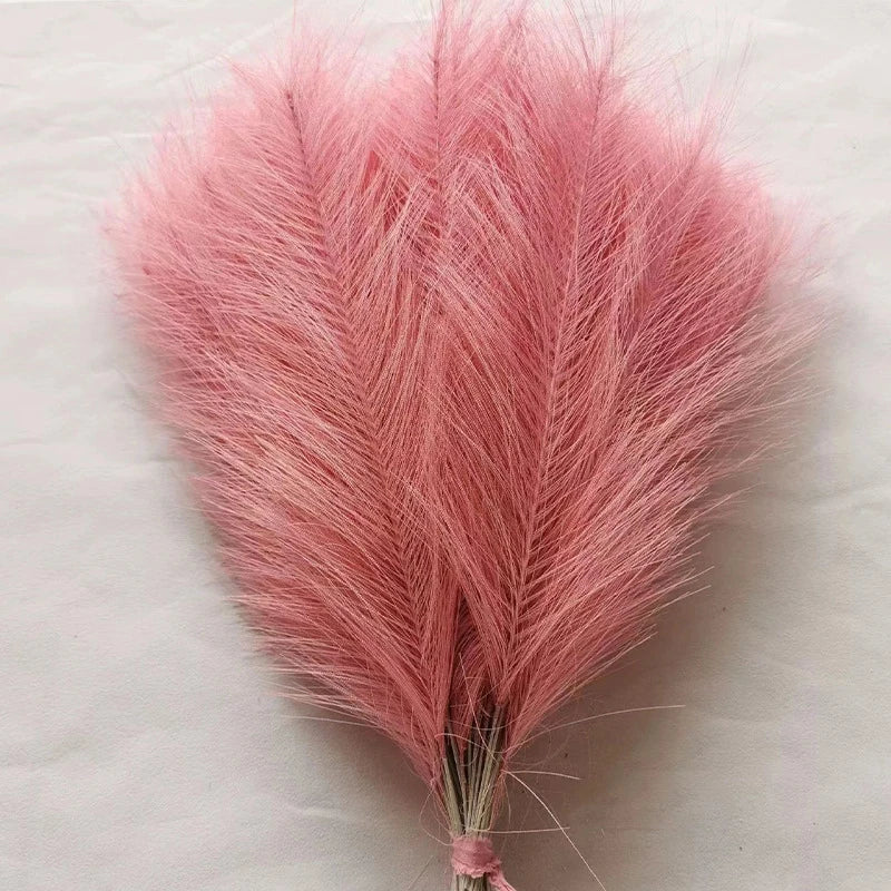 Fluffy Pampas Grass Stems