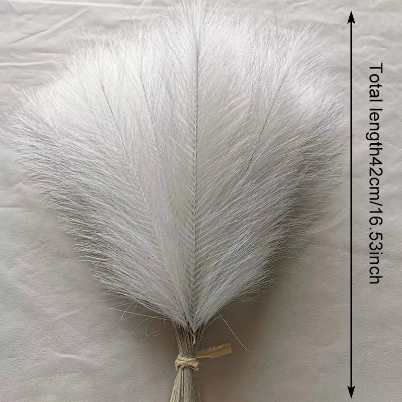 Fluffy Pampas Grass Stems