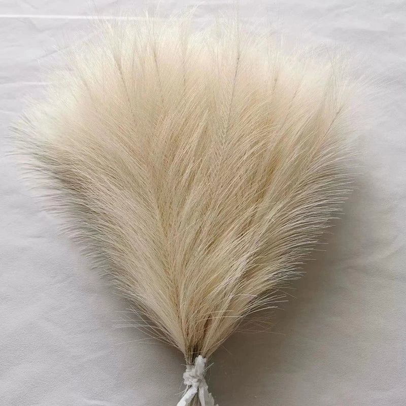 Fluffy Pampas Grass Stems