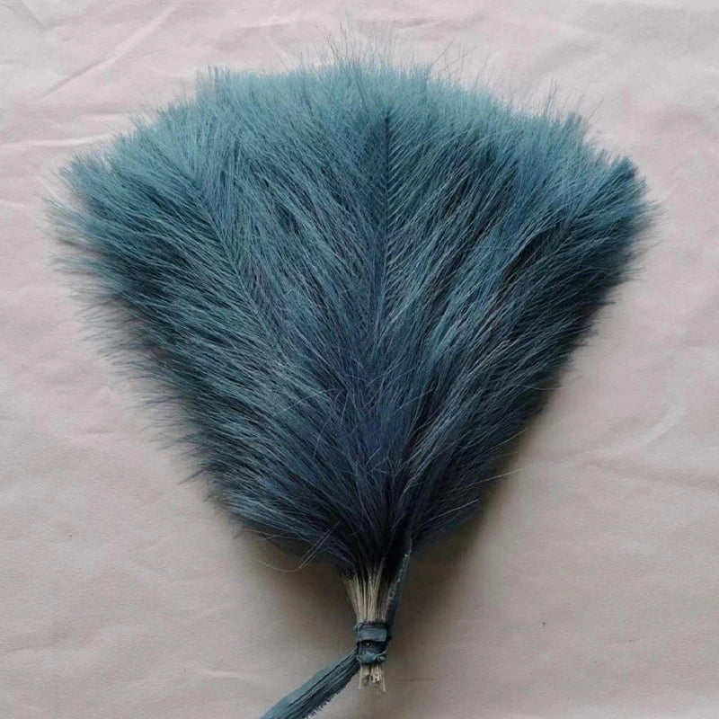 Fluffy Pampas Grass Stems