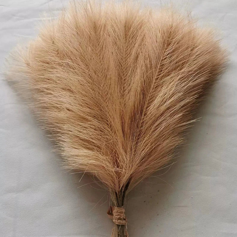Fluffy Pampas Grass Stems
