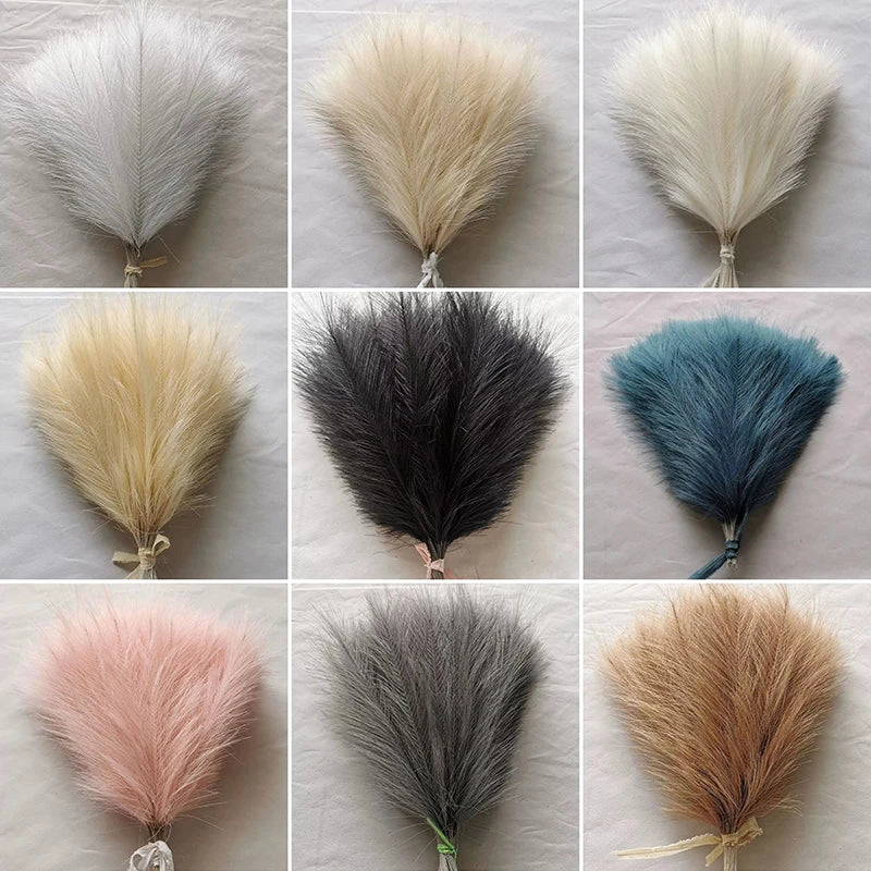 Fluffy Pampas Grass Stems