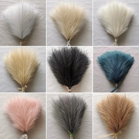 Fluffy Pampas Grass Stems