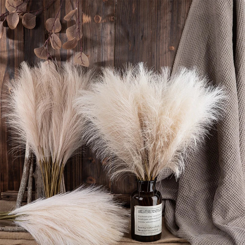 Fluffy Pampas Grass Stems