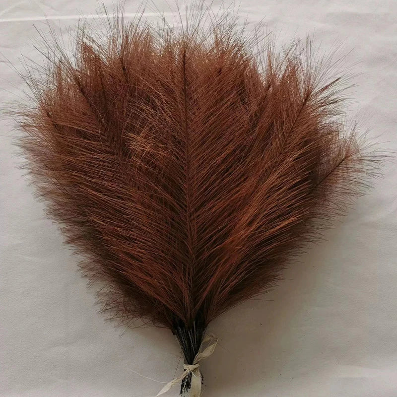 Fluffy Pampas Grass Stems