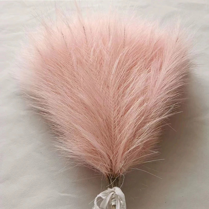 Fluffy Pampas Grass Stems